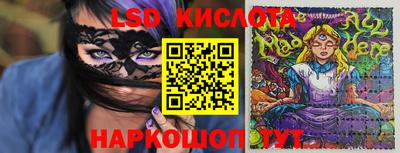 крисы Новодвинск