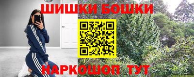 крисы Новодвинск
