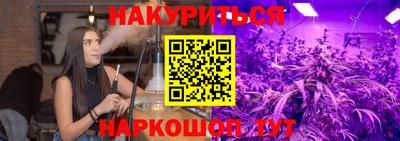 крисы Новодвинск