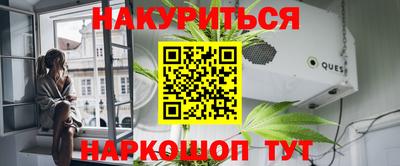 крисы Новодвинск