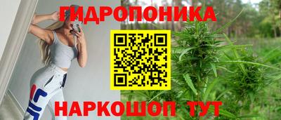 крисы Новодвинск