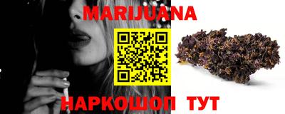 крисы Новодвинск