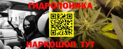 крисы Новодвинск