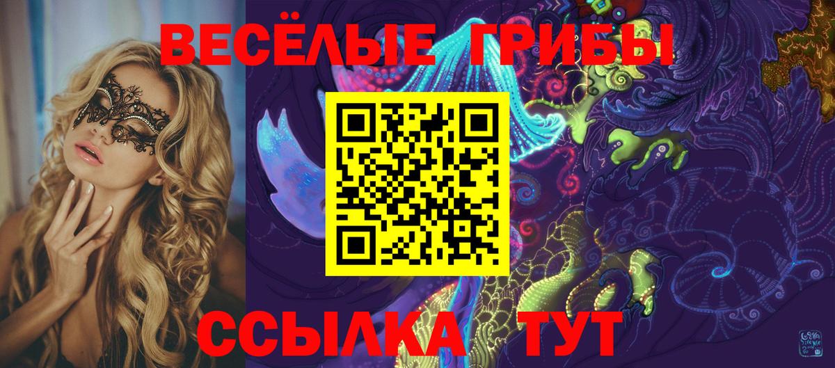 Тимашёвск  Псилоцибиновые грибы Psilocybe  Вход с VPN 